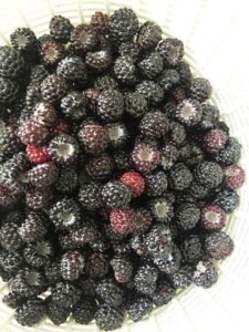 Black-Cap Raspberry Pancakes Recipe Image